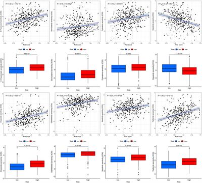 Identification of a novel reactive oxygen species (ROS)-related genes model combined with RT-qPCR experiments for prognosis and immunotherapy in gastric cancer